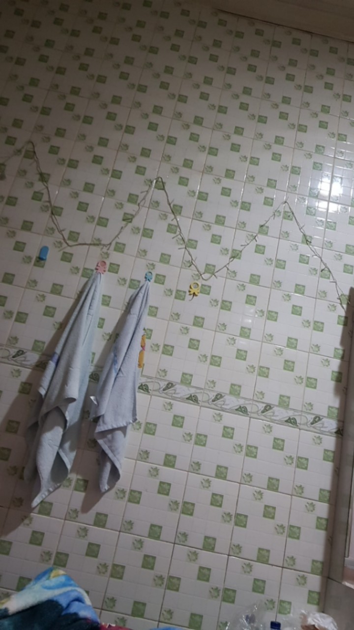 Eceng Gondok 10-13mm/grosir/kg/-+30m