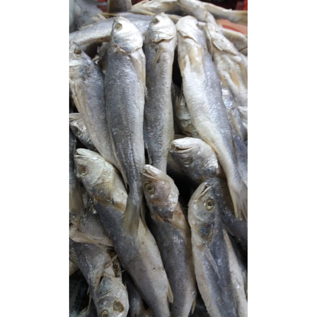 

IKAN ASIN / IKAN SAMGE / SAMGE
