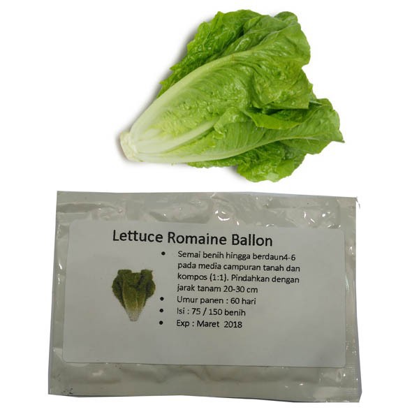 Lettuce Romaine Ballon 75 Benih