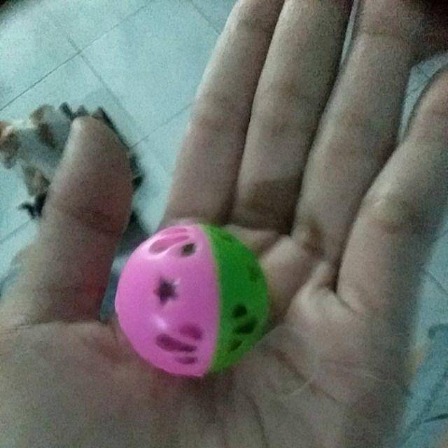Mainan Bola Kucing Kerincing Cat Toys Interaktifpp