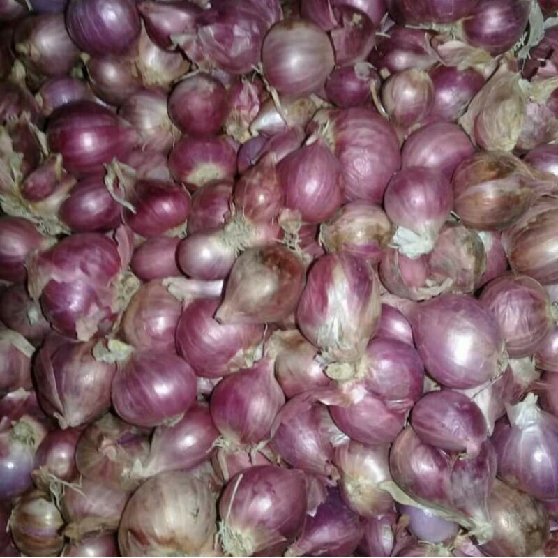 

Bawang Merah / Bawang Putih