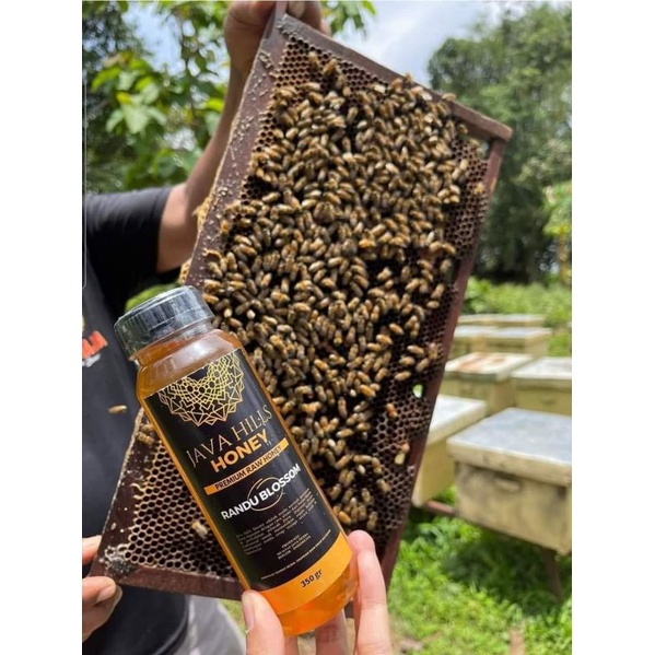 

Madu Murni Randu Blossom BY JAVAHILLS HONEY
