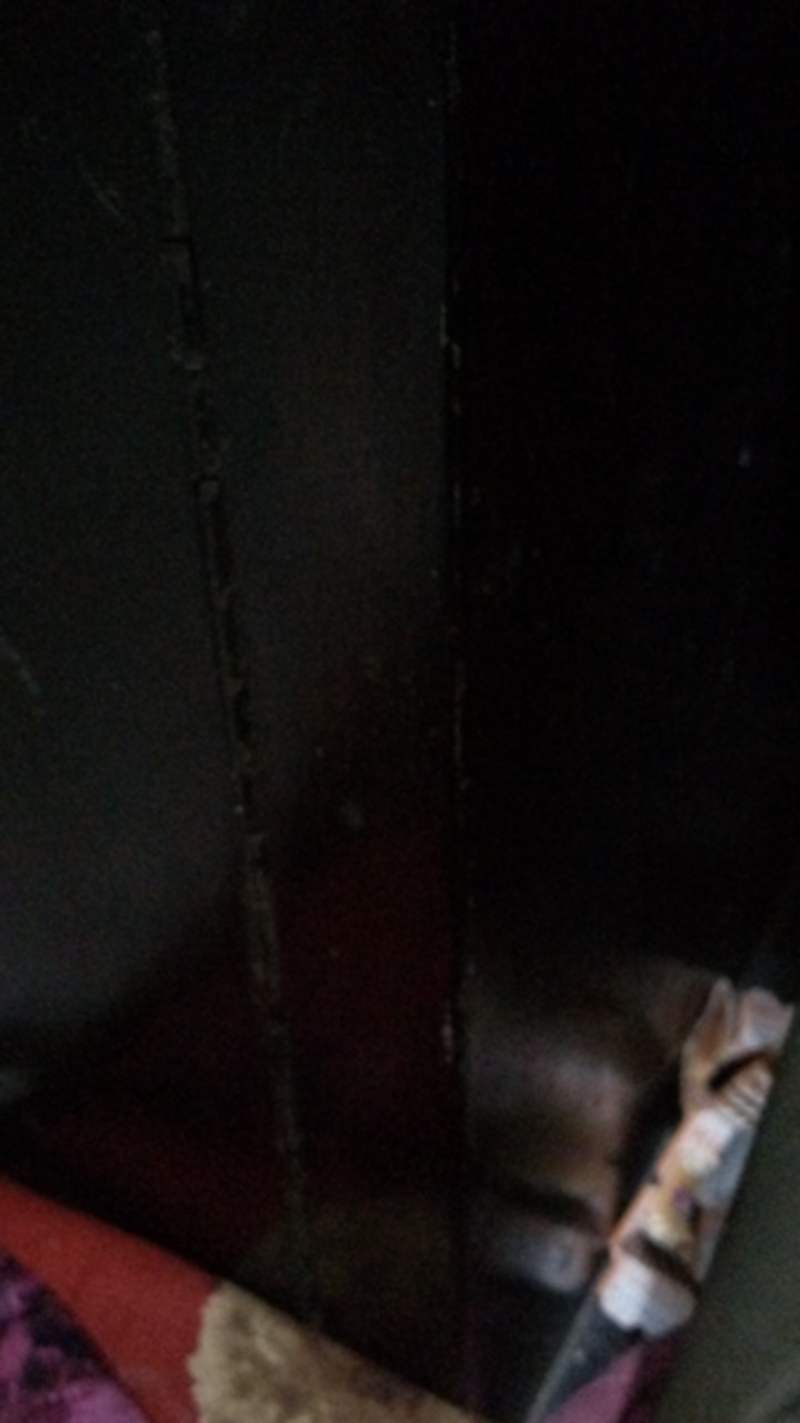 Molto Pewangi Biru Dan Pink 820 Ml