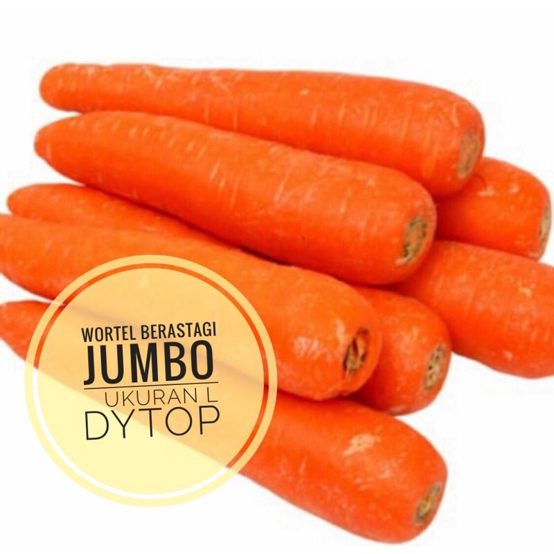 

DYTOP Wortel Berastagi Jumbo Ukuran L Fresh Segar - 1 Kg