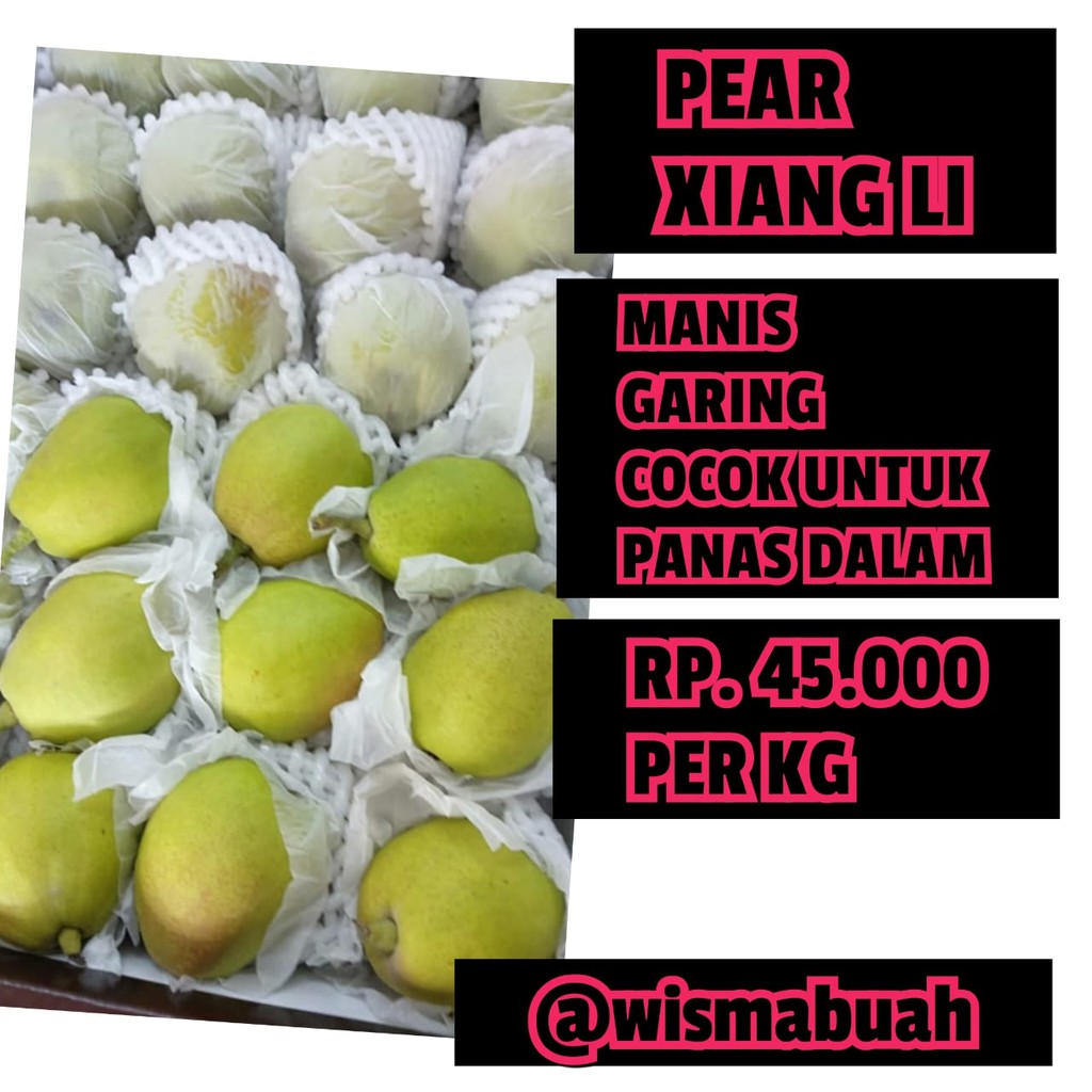 

Buah Pear Xiangli
