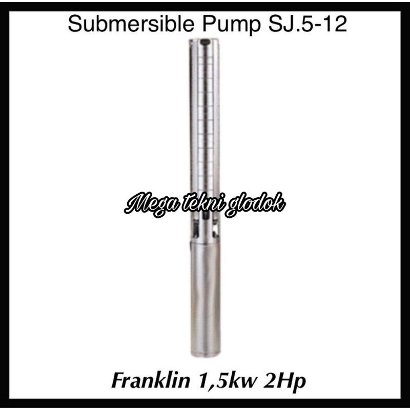 Pompa Submersible CNP SJ 5-17 Motor Franklin USA 1,5kw 2Hp 220V
