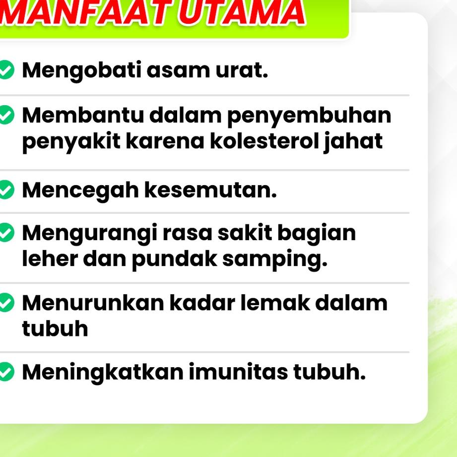 

[KODE PRODUK WL7OV4061] Madu Korat Menyembuhkan Penyakit Kolesterol & Asam Urat Secara Alami