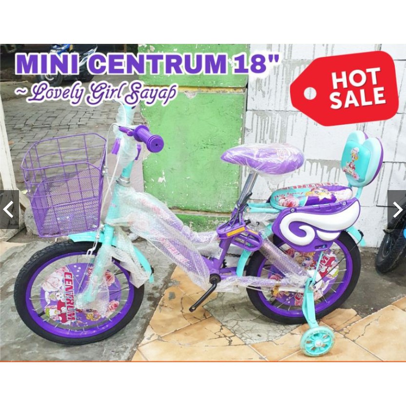 Sepeda Anak Perempuan 16 & 18 Inch Mini Centrum Sayap Keranjang-2