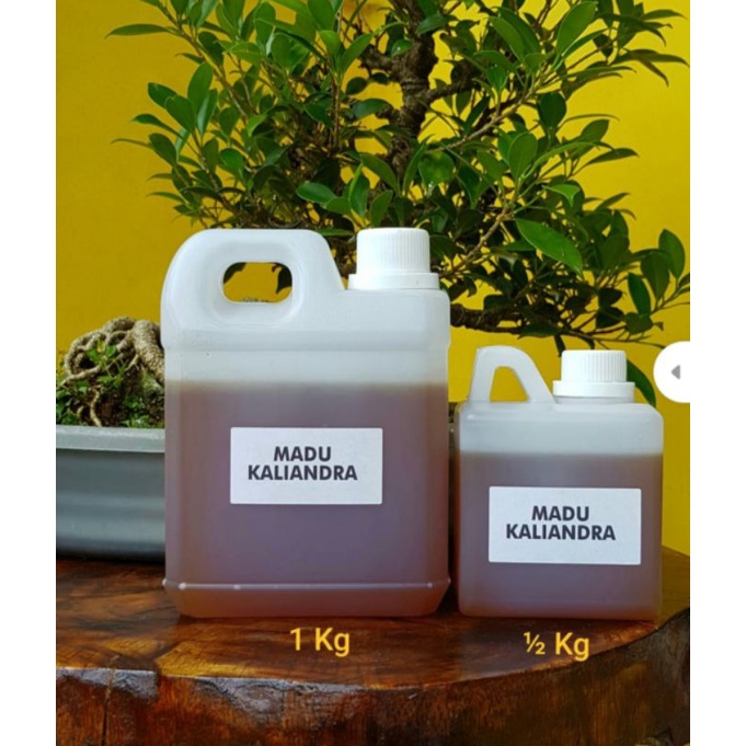

jual madu kaliandra