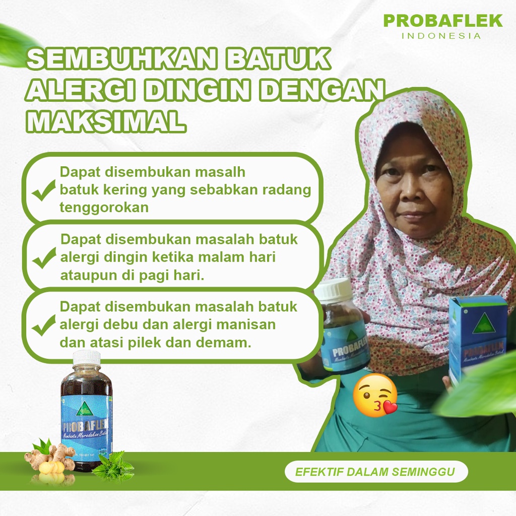 Probaflek 380gr - Obat batuk alergi dingin dan alergi manisan