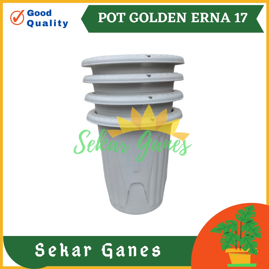 Sekarganes Lusinan Pot Golden Erna 17 Putih - Lusinan Pot Yogap 15 17 TERMURAH