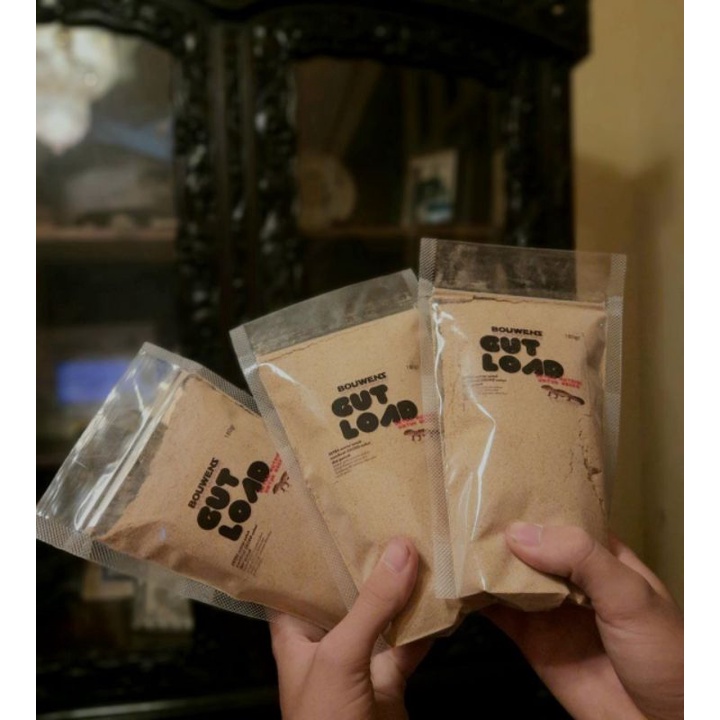 GUTLOAD FOR HEALTHY LEOPARD GECKO