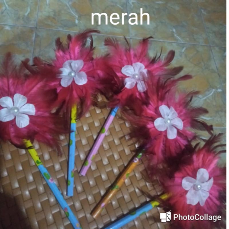 Pensil dari  bulu ayam