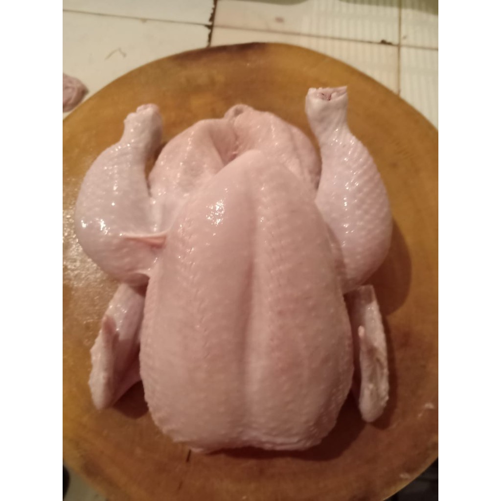 

Ayam potong boiler/negri frozen 1,2kg