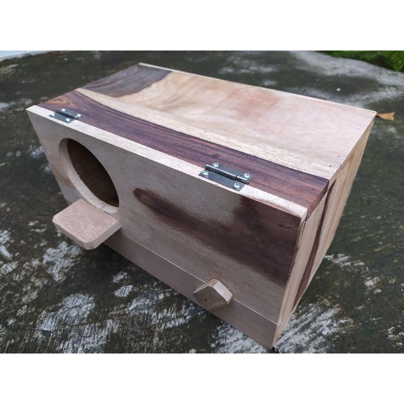 Glodok Parkit Holland Mantap Gaess