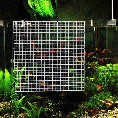 Bracket Sekat Aquarium 30x30 cm Penutup Egg Crate Coral Frag Rack