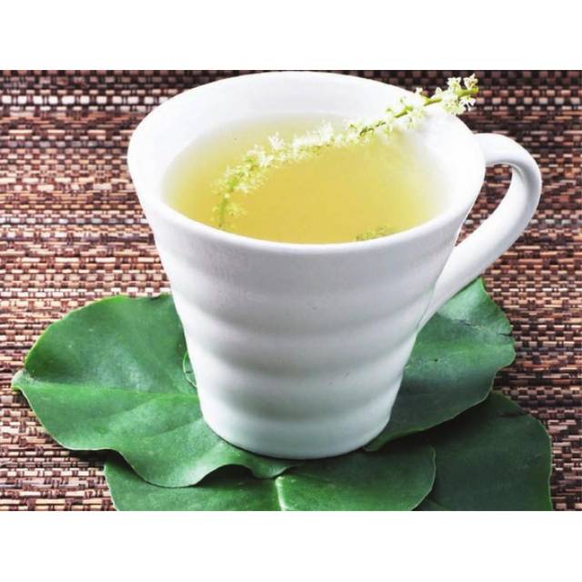 

Daun Binahong Pitahong
