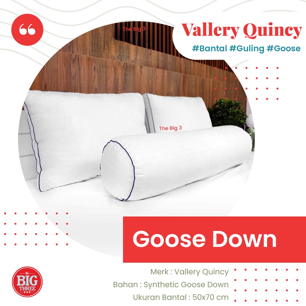 Vallery Quincy - Bantal / Guling Bulu Angsa - Soft Pillow Bolster  Goose Down Tidur Kepala TBT