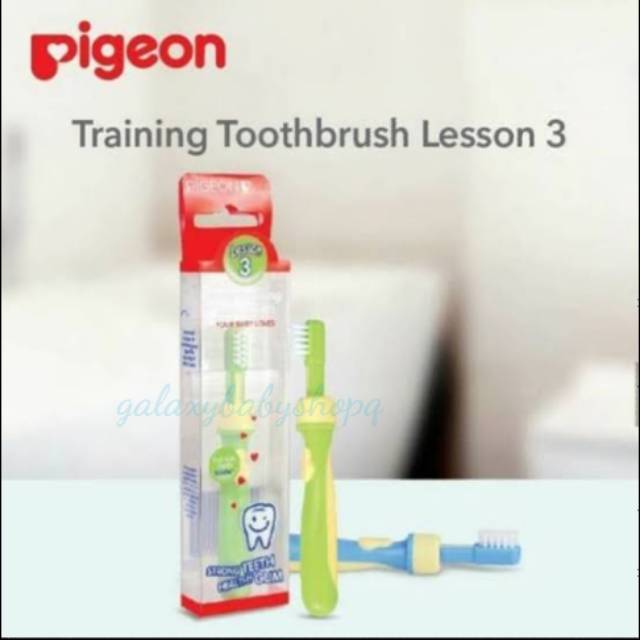 Pigeon Tootbrush Lesson 3