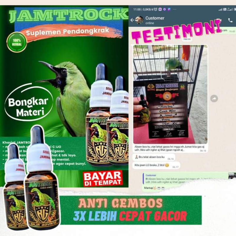 vitamin penggacor burung cucak ijo vitamin pedongkrak karakter  RG raja goyang