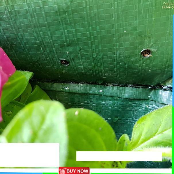 ❋ Pot Tanaman Pot Bunga Wall Planter Bag Dinding Planterbag Polybag Tanaman Pot Dinding Gantung A36