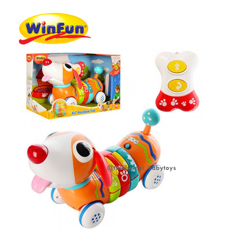 Winfun Rainbow Pup