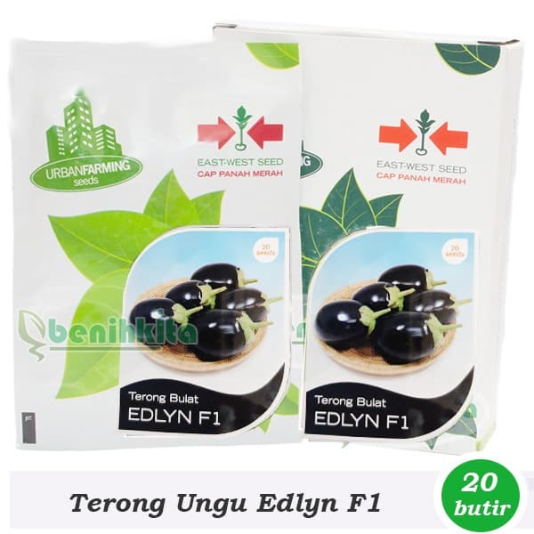 Benih-Bibit Terong Pondoh Ungu Edlyn F1 (Cap Panah Merah)