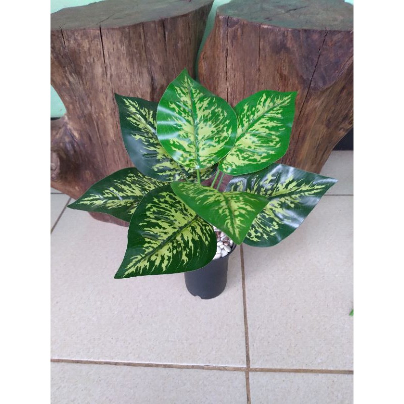 pohon keladi jebra plastik, pohon plastik, tanaman hias plastik, pohon sintetis