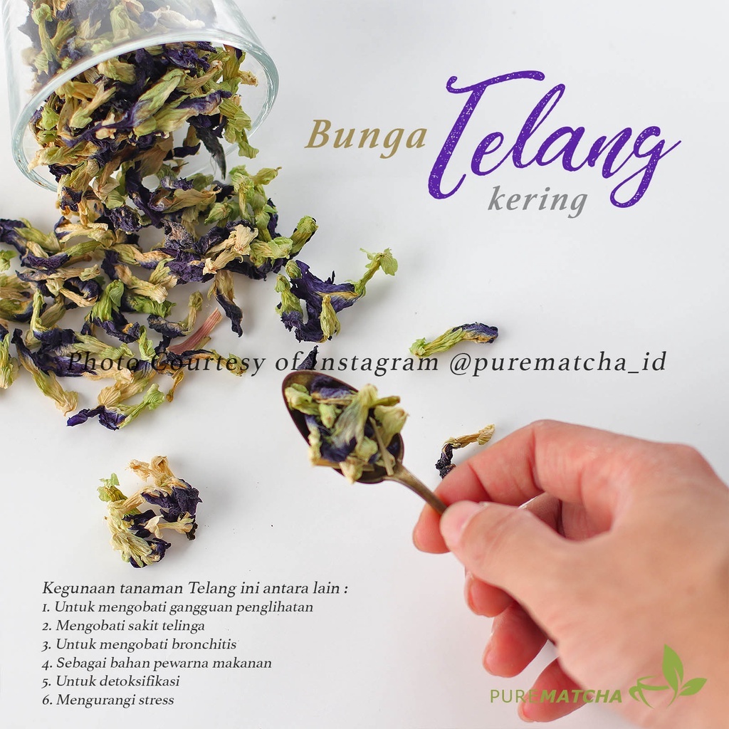 

Bunga Telang Kering 50gr Teh Biru Pewarna Makanan Butterfly Pea Dried Flower