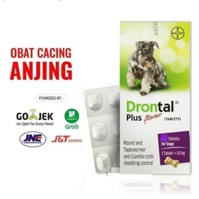 Drontal plus for dog 1 box 120 tbl