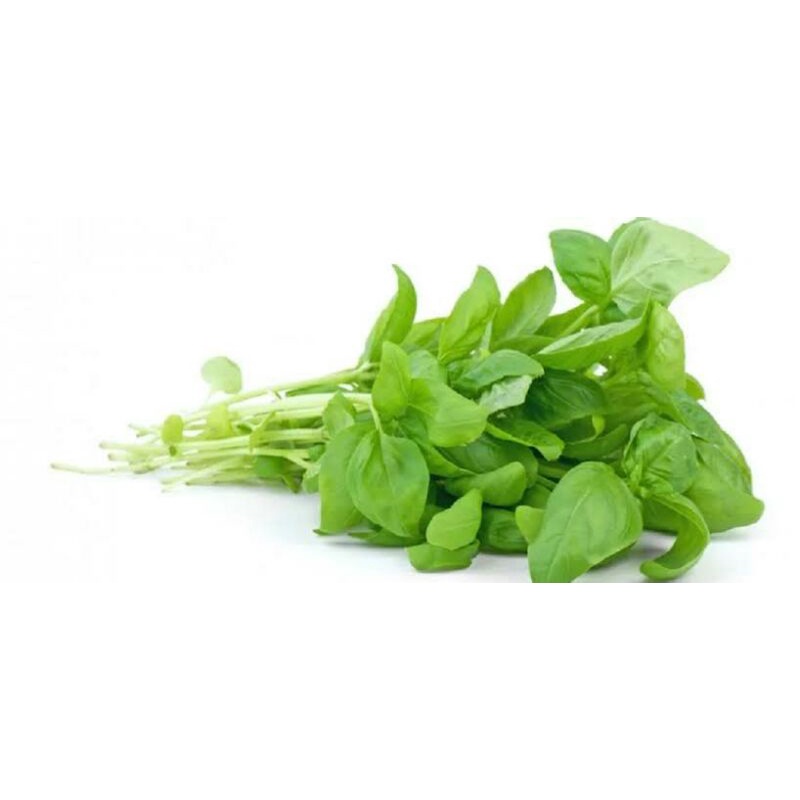 

Sayur Bayam Segar per-ikat