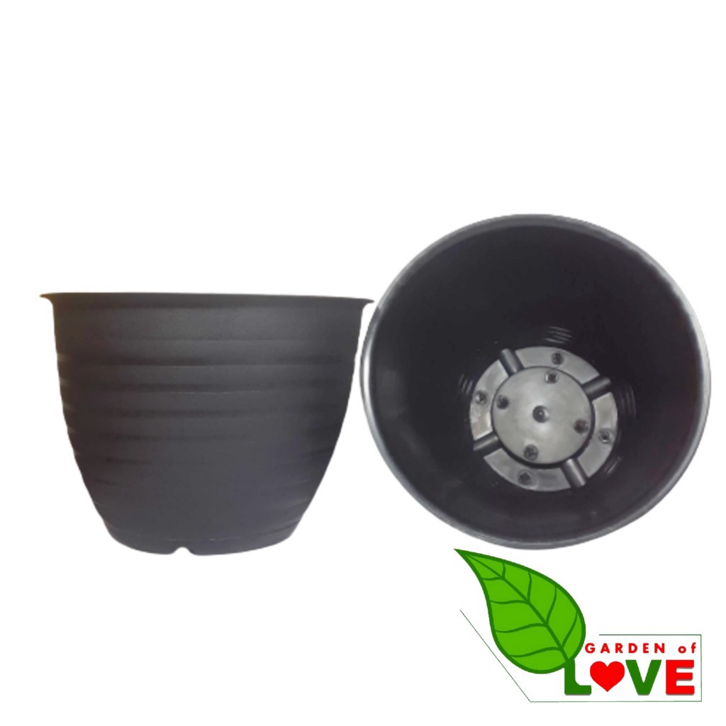 Pot Super Tawon 24 Cm Hitam Garden Of Love Pot Plastik 24CM Pot Tawon Pirus Putih 24 27 30 Tinggi