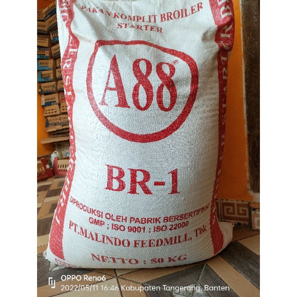 pakan anak ayam/bebek  Malindo A88