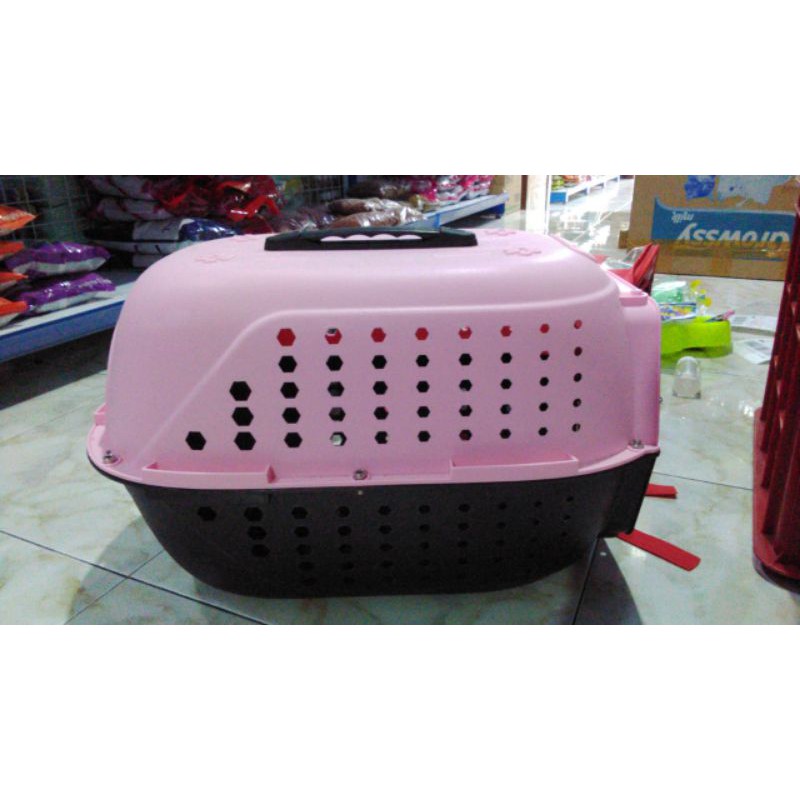 pet cargo kucing anjing kecil