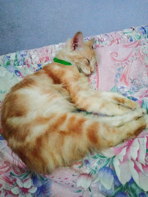 Polibek Ukuran 30×30 Termurah