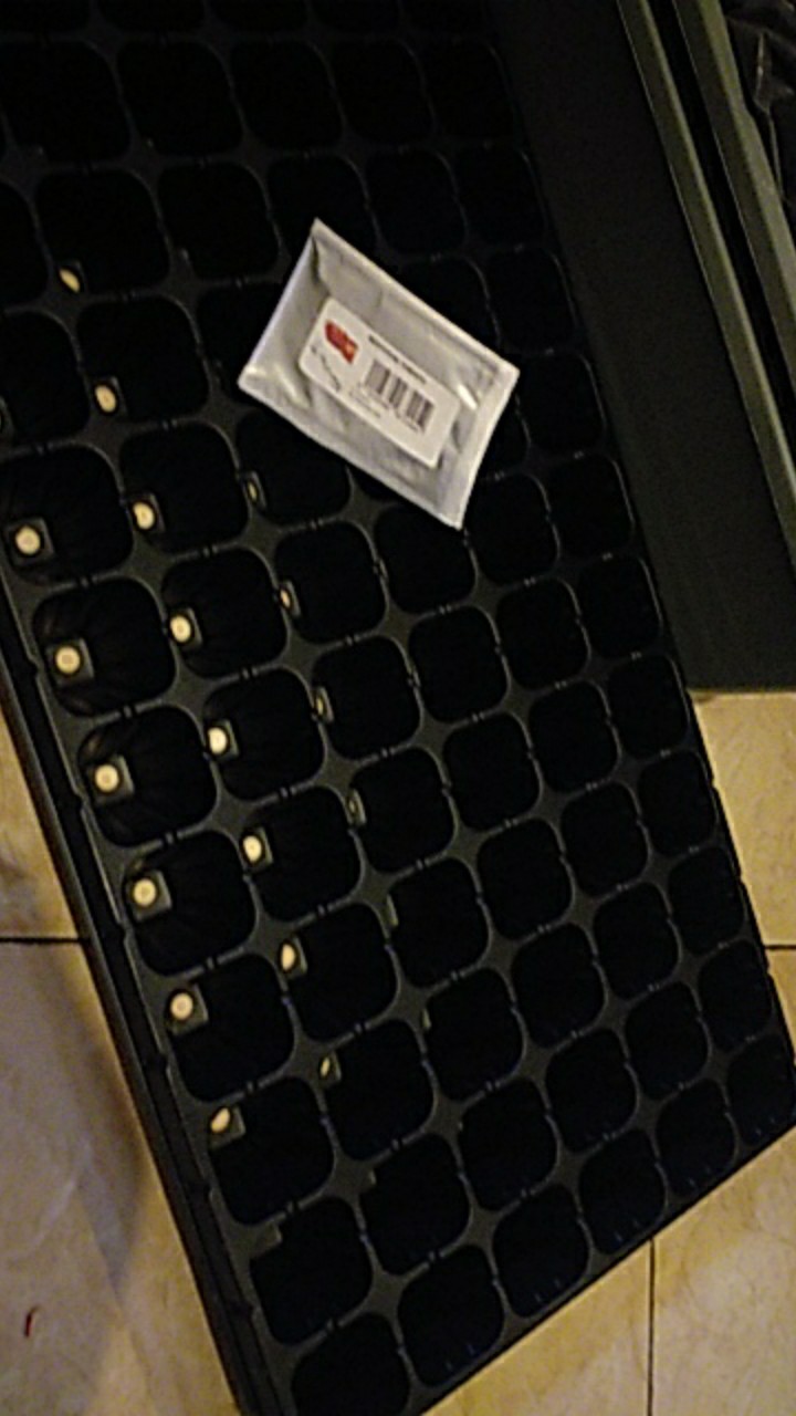 Purie Garden Tray Semai 72 Lubang