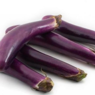 Terong Ungu Organik / Organic Egg Plant 500g