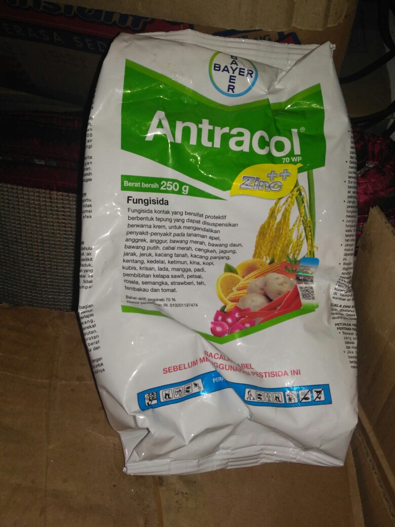 Antracol 250gr
