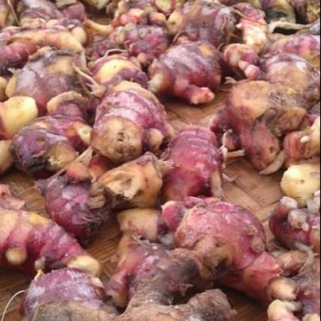 

Jahe merah 250 gram