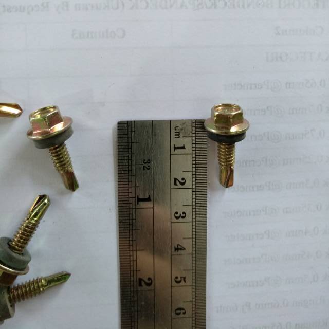 Baut Ruting/Roofing/Sekrup Baja Ringan 2 cm