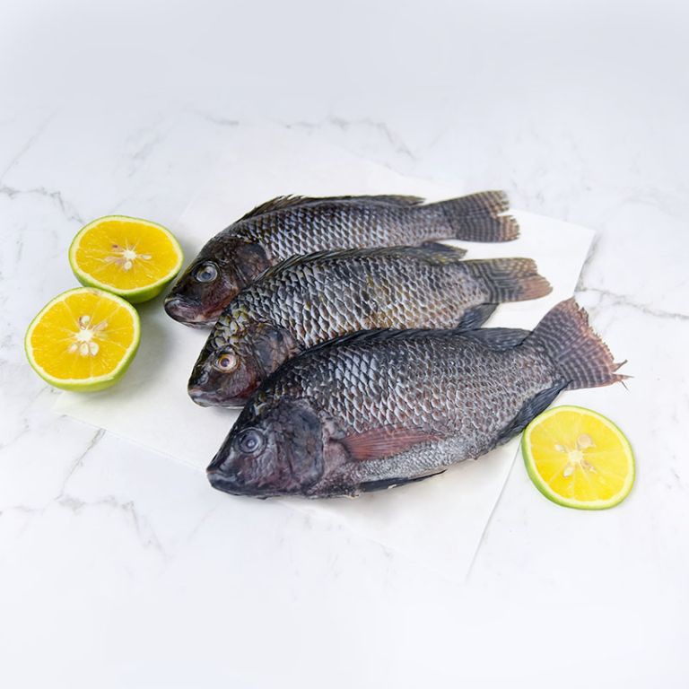 

Gudang Sayur - Ikan Mujaer / Mujair Segar 1 KG