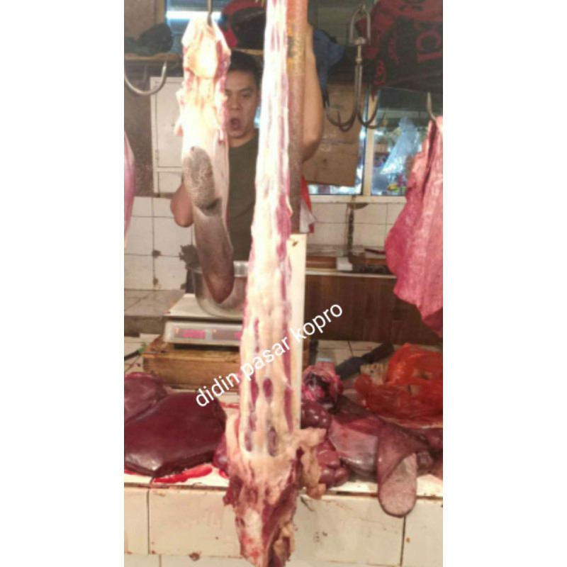 

buntut sapi/ekor sapi