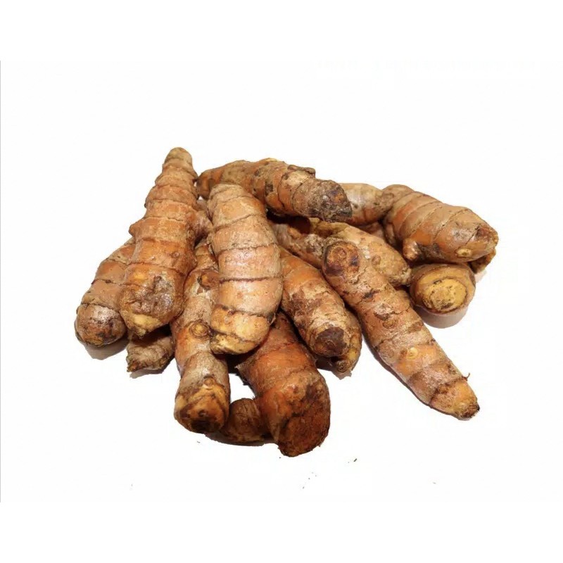 

Kunyit Segar 500 Gram