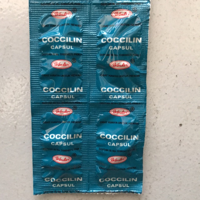 Coccilin Kapsul/Obat ngorok ayam/CRD Ayam