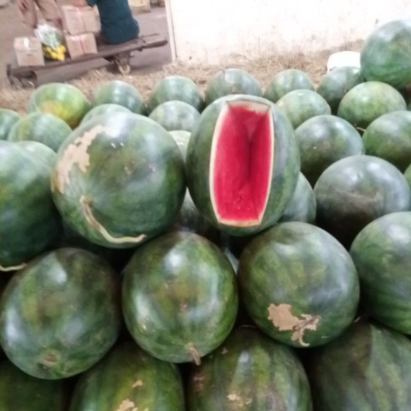 

Buah Semangka Non Biji 3-4Kg