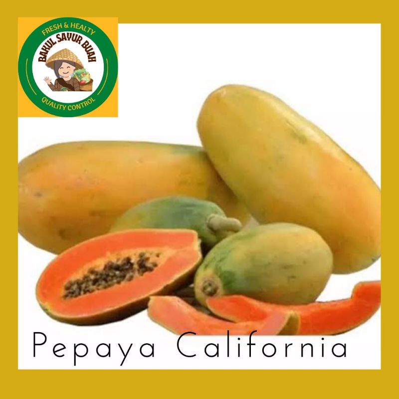 

BUAH PEPAYA CALIFORNIA PER PC