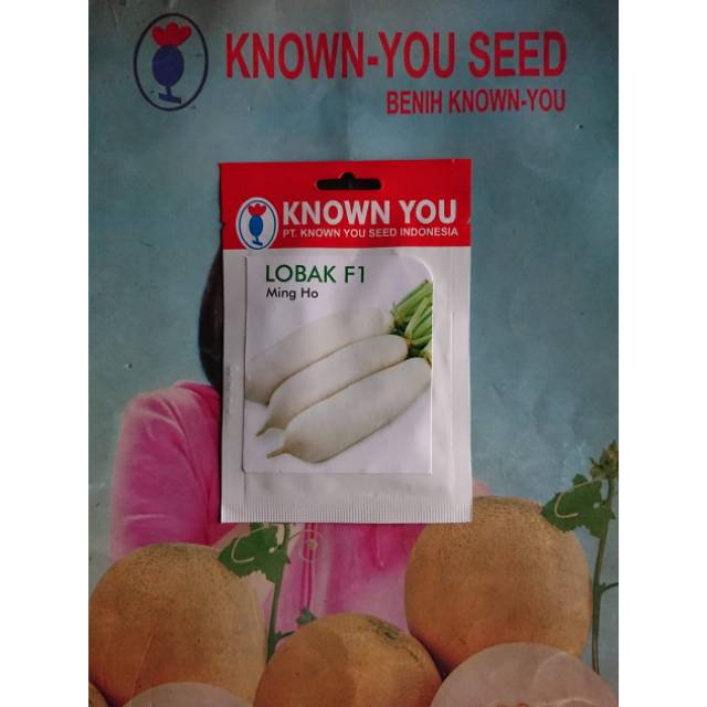 Benih Biji Bibit Lobak Putih MING HO F1 1,5gr