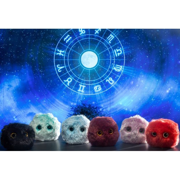 Worry pet Vol. 05  ZODIAC series - Sensory toy for mental health anxiety buddy - Fidget - Stress ball