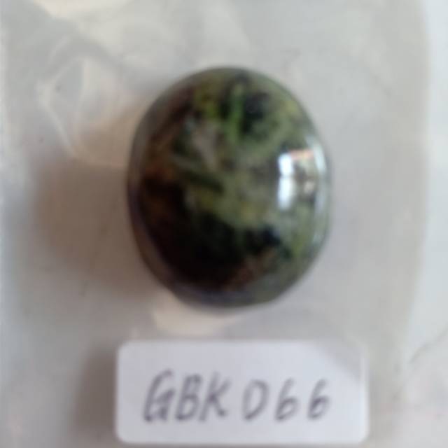 

GBK066 Green Borneo Kalimantan