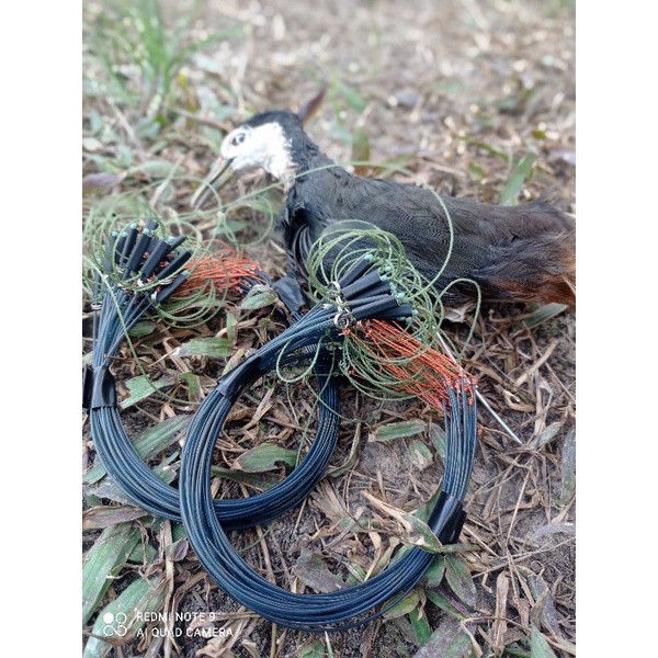 racik jerat RUAK RUAK sudah sama patung mumi ruak ruak